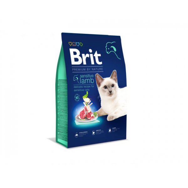 Brit  Dry Premium | Sensitive z jagnięciną 0,3kg, DLZRITKSK0057