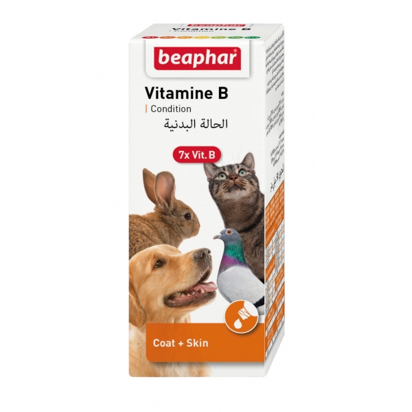 BEAPHAR Vitamin B Complex -7witamin z grupy B zwierzęta domowe 50ml, DLZBEPHIP0094