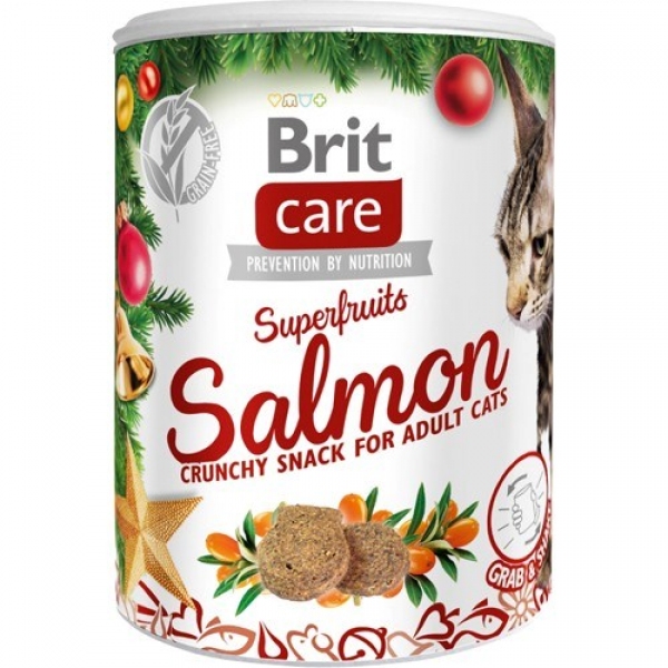 Brit Care Cat Snack Superfruits Salmon - Christmas Edition 100g, DLKRITPRZ0001